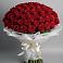 Букет 101 Красная роза Блэк Мэджик в Суземке