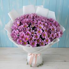 Букет цветов из:  Хризантемы в Суземке