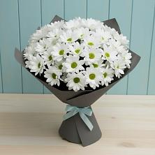 Букет цветов из:  Хризантемы в Суземке