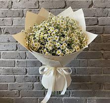 Букет цветов из:  Ромашки в Суземке