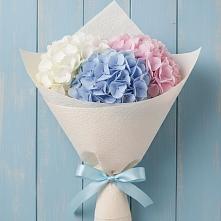 Букет цветов из:  Гортензия в Суземке