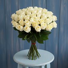 Букет 51 Белая роза Эдлесс Лав #REPLACE_PRED# Суземке