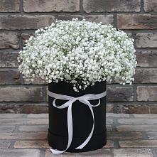 Цветочная композиция из Гипсофила в шляпной коробке #REPLACE_PRED# Суземке