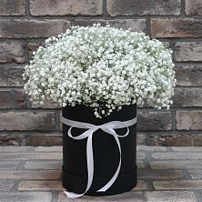 Цветочная композиция из Гипсофила в шляпной коробке в Суземке