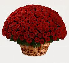 Премиум букет из: Розы в Суземке