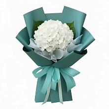 Букет цветов из:  Гортензия в Суземке